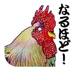 Everyday Conversation with roosters sticker #12996624