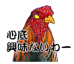 Everyday Conversation with roosters sticker #12996625