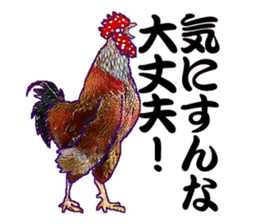 Everyday Conversation with roosters sticker #12996626