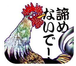 Everyday Conversation with roosters sticker #12996627