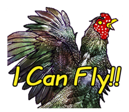 Everyday Conversation with roosters sticker #12996629
