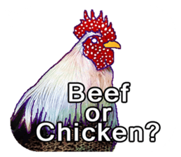 Everyday Conversation with roosters sticker #12996630