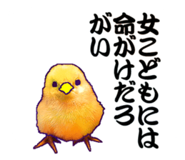 Everyday Conversation with roosters sticker #12996637