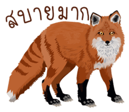 animals lunla sticker #12999050