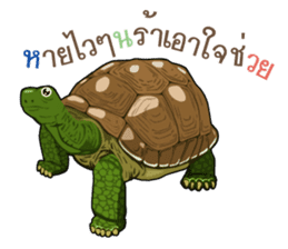 animals lunla sticker #12999052