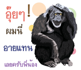 animals lunla sticker #12999053