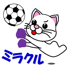 A white cat which plays soccer