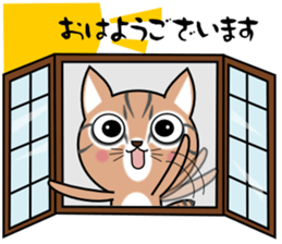 KABUKI CAT sticker #12999924