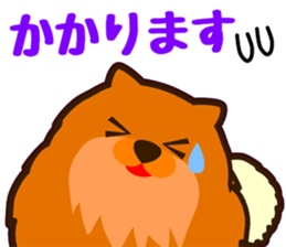 MARU-ANI MATIAWASE sticker #13001529