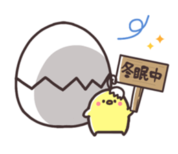 Chicken & chick winter sticker #13001944