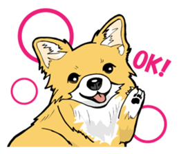 Brown Chihuahua sticker #13003687