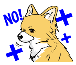 Brown Chihuahua sticker #13003688