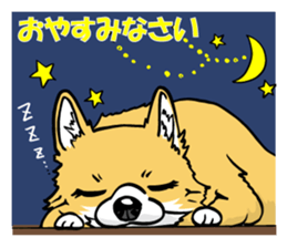 Brown Chihuahua sticker #13003689