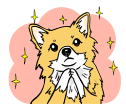 Brown Chihuahua sticker #13003690