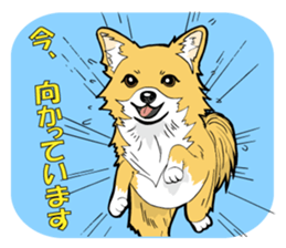 Brown Chihuahua sticker #13003691