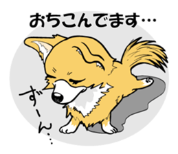 Brown Chihuahua sticker #13003692