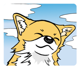 Brown Chihuahua sticker #13003695