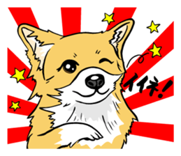 Brown Chihuahua sticker #13003696