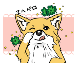 Brown Chihuahua sticker #13003698