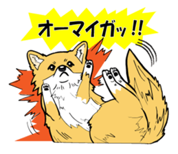 Brown Chihuahua sticker #13003699