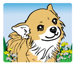 Brown Chihuahua sticker #13003700