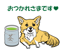 Brown Chihuahua sticker #13003702