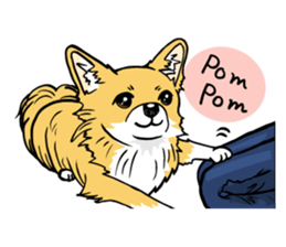 Brown Chihuahua sticker #13003703