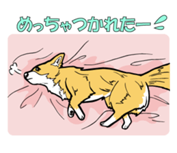 Brown Chihuahua sticker #13003705