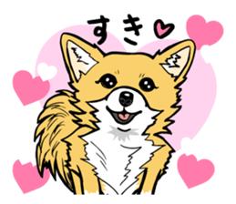 Brown Chihuahua sticker #13003707