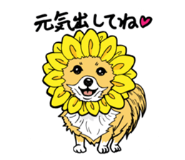 Brown Chihuahua sticker #13003708