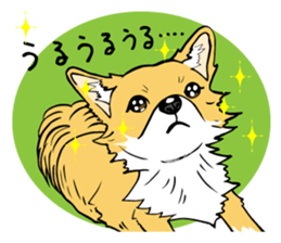 Brown Chihuahua sticker #13003709