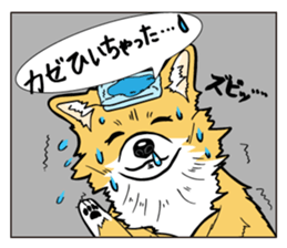 Brown Chihuahua sticker #13003711