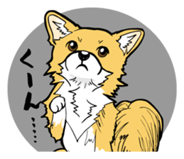 Brown Chihuahua sticker #13003713