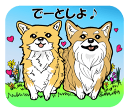 Brown Chihuahua sticker #13003716