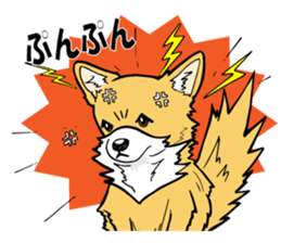 Brown Chihuahua sticker #13003718