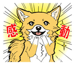 Brown Chihuahua sticker #13003719