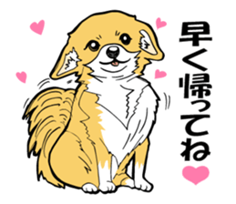 Brown Chihuahua sticker #13003724