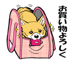 Brown Chihuahua sticker #13003725
