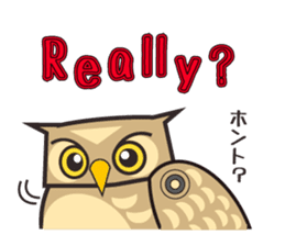 ROBO Owl English sticker #13004251