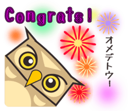 ROBO Owl English sticker #13004258