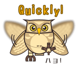 ROBO Owl English sticker #13004274