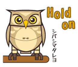 ROBO Owl English sticker #13004275