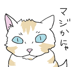 UMA CAT TSUCHINEKO sticker #13007541