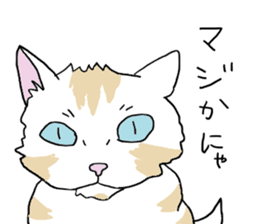 UMA CAT TSUCHINEKO sticker #13007541