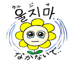 Korean-Japanese sunflower "tommy"~cheer sticker #13010406