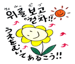 Korean-Japanese sunflower "tommy"~cheer sticker #13010407