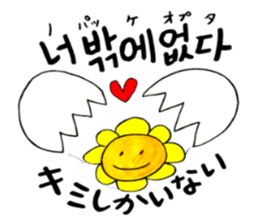 Korean-Japanese sunflower "tommy"~cheer sticker #13010411