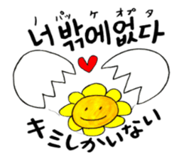 Korean-Japanese sunflower "tommy"~cheer sticker #13010411