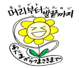 Korean-Japanese sunflower "tommy"~cheer sticker #13010412
