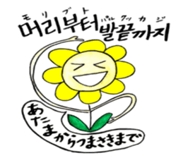 Korean-Japanese sunflower "tommy"~cheer sticker #13010412